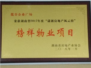 湖南省2017年潇湘房地产风云榜榜样物业项目