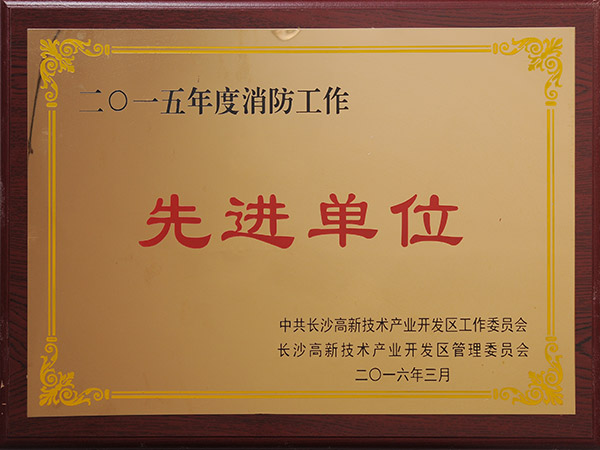 2015年度消防工作先进单位