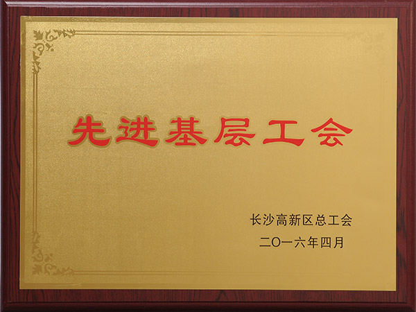 2016年先进基层工会