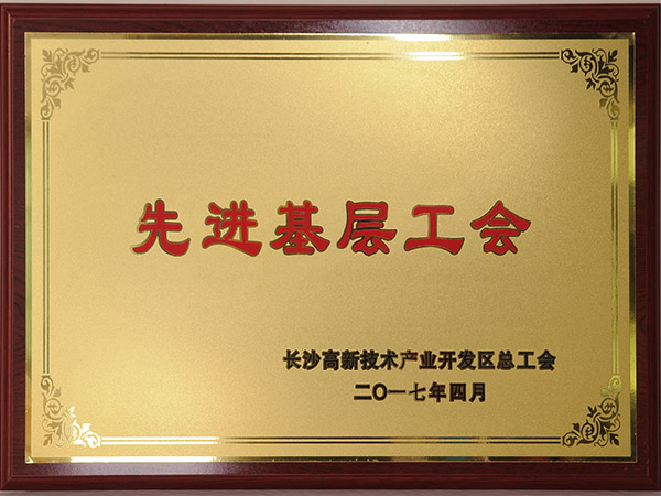 2017年先进基层工会
