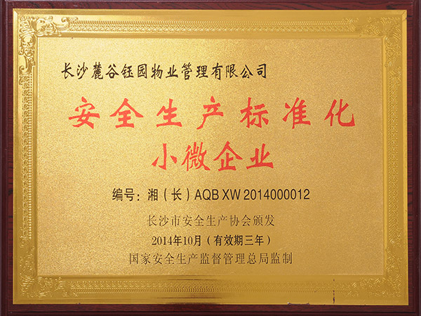 安全生产标准化小微企业