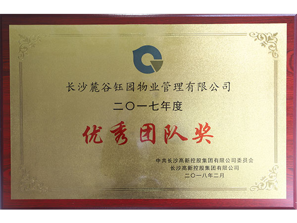2017年度集团优秀团队