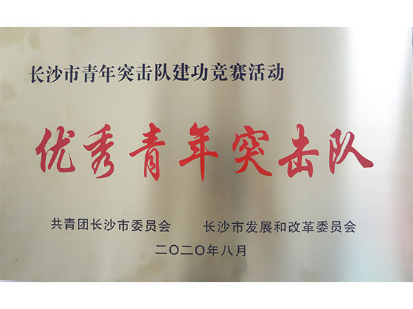 优秀青年突击队