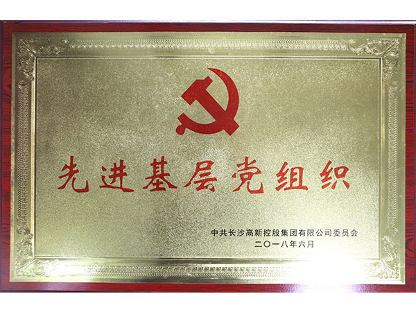 先进基层党组织