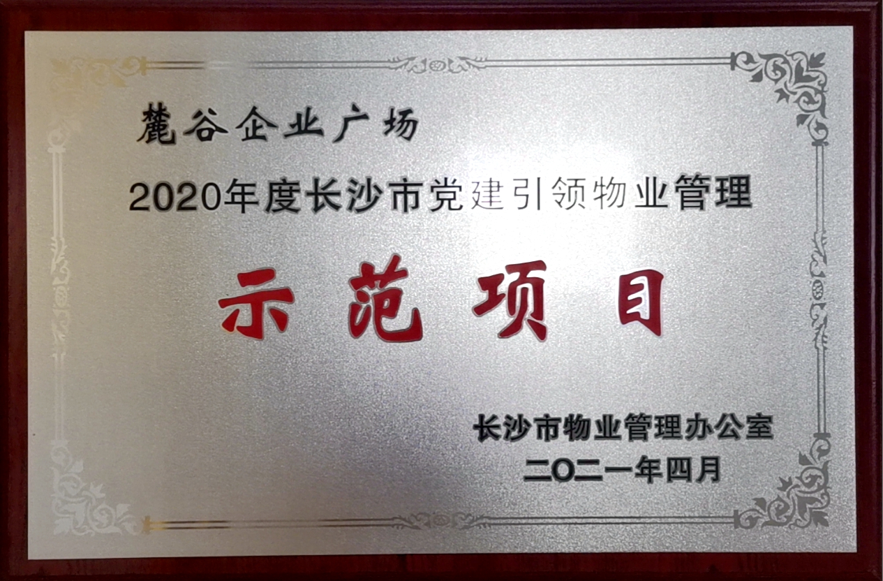 2020年长沙市党建引领示范项目