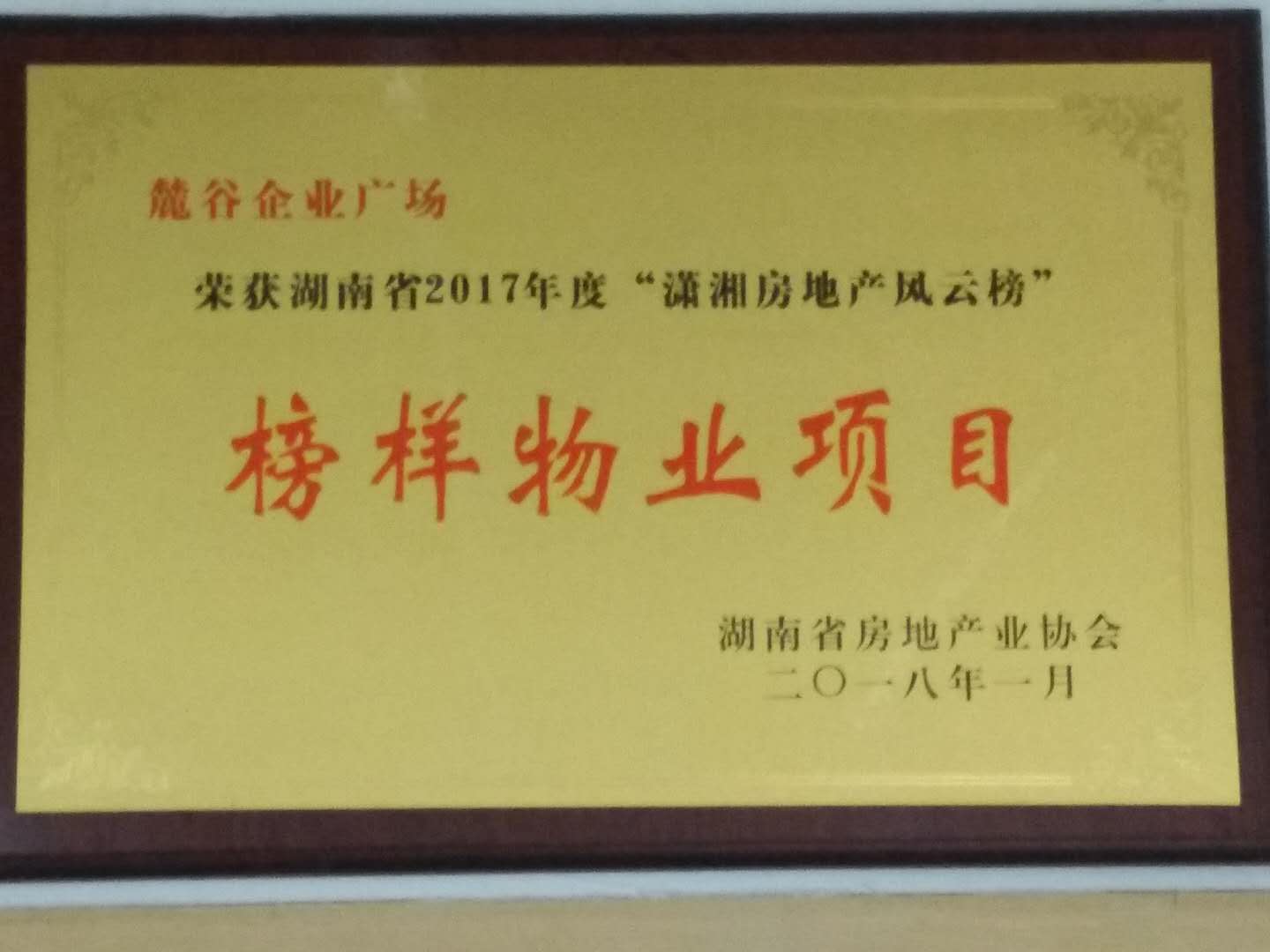 湖南省2017年潇湘房地产风云榜榜样物业项目
